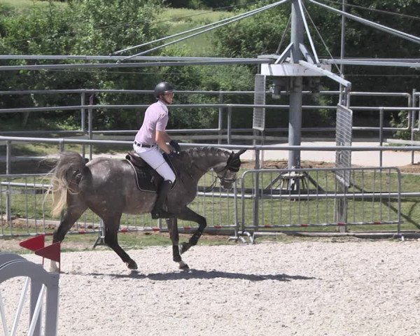 Reitturnier Worms-Pfeddersheim / Reitsportanlage Wittemer 2020