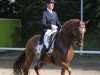 broodmare Donna Maxima T (Oldenburg, 2002, from Decarpentry)