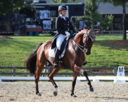 dressage horse Leonardo (Danish Warmblood, 2007, from Solos Landtinus)