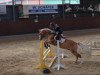 jumper Bonetti 6 (German Riding Pony, 1999, from Big Boy I)