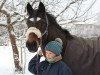 jumper Davidoff AG (German Riding Pony, 2008, from Douglas)