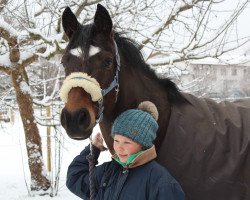 Springpferd Davidoff AG (Deutsches Reitpony, 2008, von Douglas)