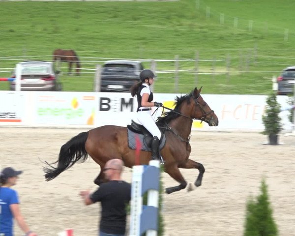 Reitturnier Galgenen 2020