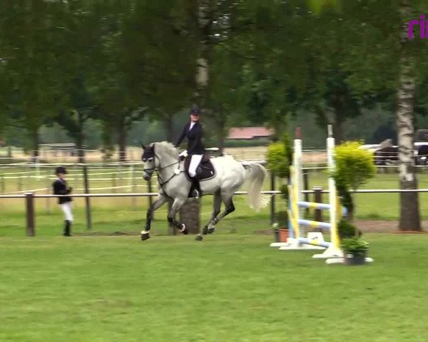 Reitturnier Hille 2020