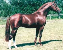 horse Leonard M (Hanoverian, 1995, from Leubus)