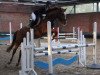 jumper Estelle la Princess (Hanoverian, 2007, from Escudo I)