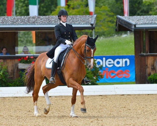 dressage horse Lord of Dream (Hanoverian, 2002, from Londonderry)