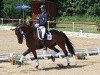 dressage horse Ballentino (Swedish Warmblood, 2000, from Wetano)