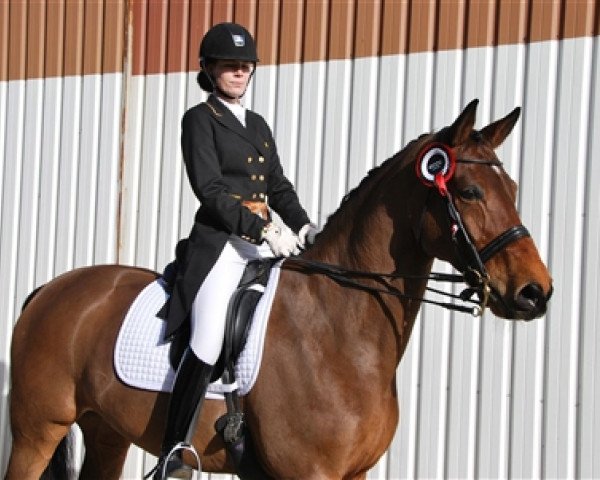 dressage horse Skjoldsgaard Monte Vo (Danish Warmblood, 2003, from Münchhausen)