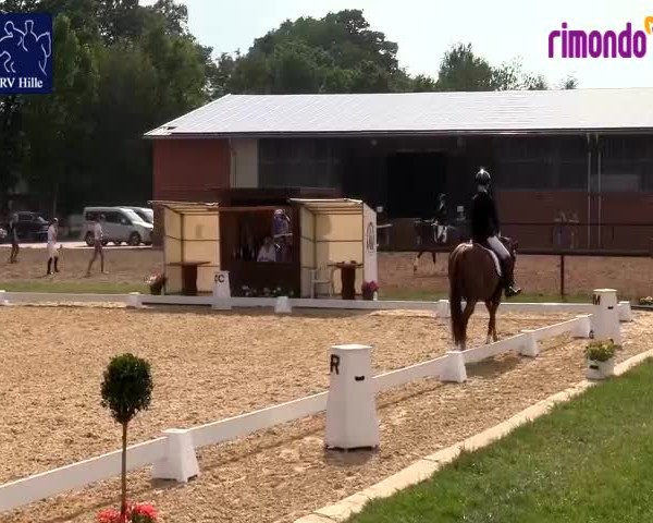 Reitturnier Hille 2020