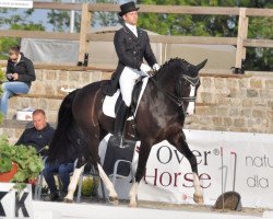 dressage horse Sini Santos Rf (Württemberger, 2004, from Sir Oldenburg)