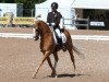 dressage horse Macciato (German Riding Pony, 2008, from The Braes My Mobility)