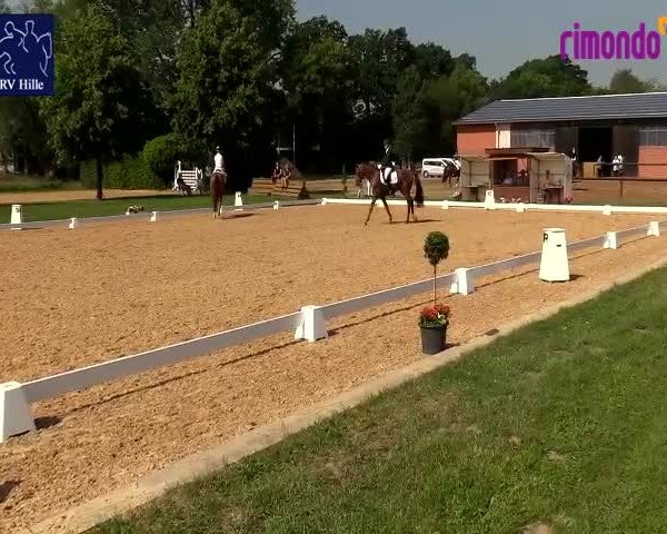 Reitturnier Hille 2020
