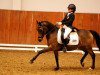 dressage horse Antares (Westphalian, 2001, from Avalon)