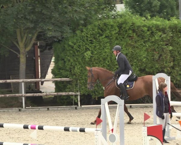 Reitturnier Worms-Pfeddersheim / Reitsportanlage Wittemer 2020