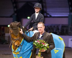 broodmare Bomea B (KWPN (Royal Dutch Sporthorse), 2006, from Sydney)