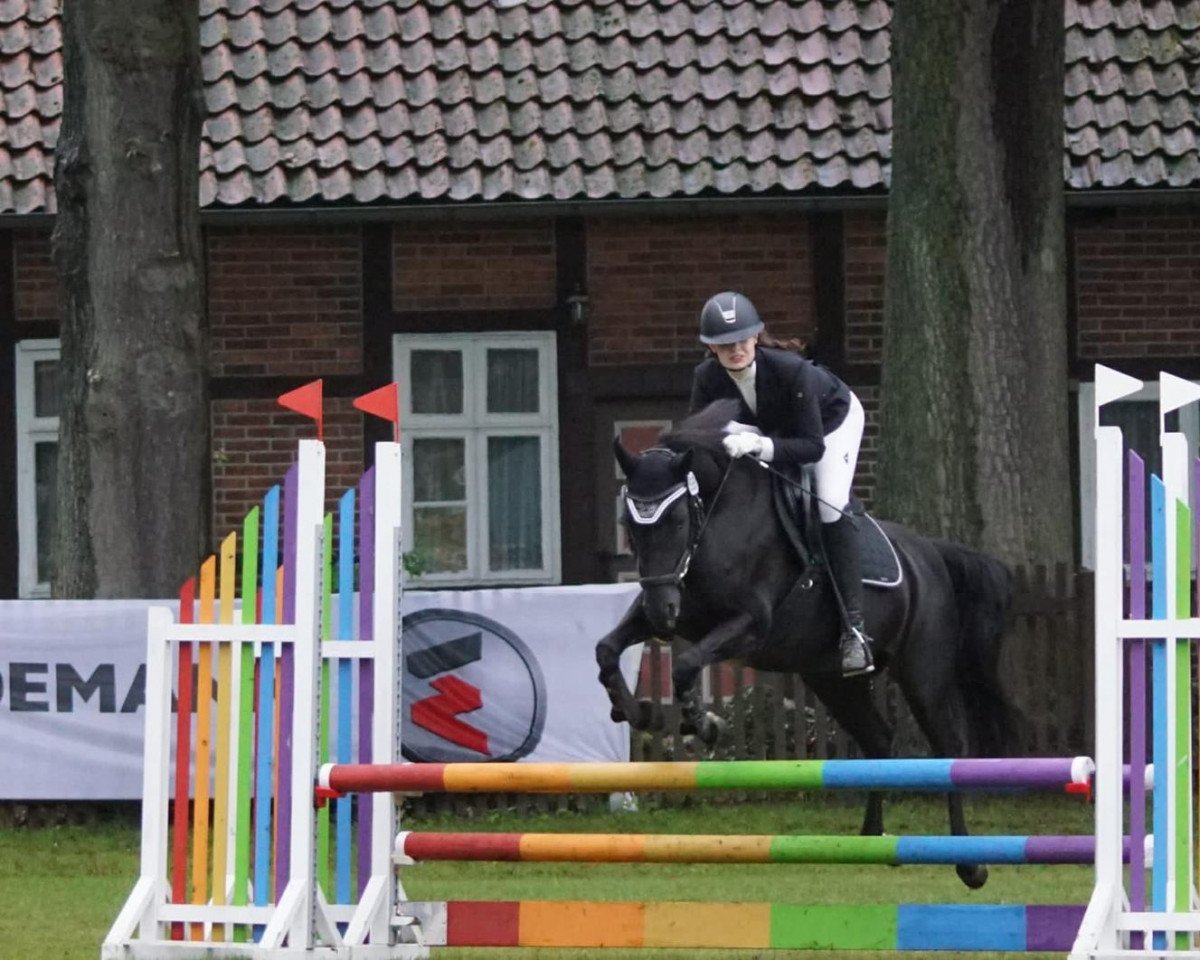 Dressurpferd Winette 9 (Deutsches Reitpony, 2009, von Nemax)
