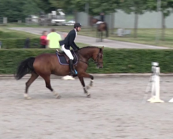 Reitturnier Neustadt/Dosse 2020