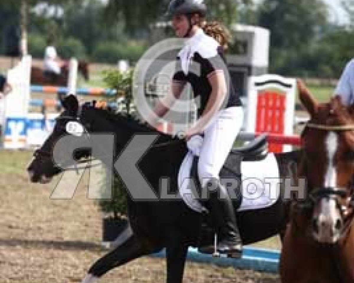 Pferd Bonny 208 (Welsh Pony (Sek.B), 1996, von Fydlyn Trysor)