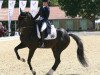 dressage horse Binky (KWPN (Royal Dutch Sporthorse), 2006, from Painted Black)