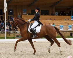 dressage horse Weltliebe (Danish Warmblood, 2003, from Weltjunge)