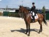 dressage horse Schambuka Soelyst (Danish Warmblood, 1999, from Schwadroneur)