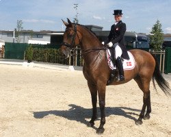 dressage horse Schambuka Soelyst (Danish Warmblood, 1999, from Schwadroneur)