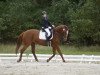 dressage horse Burberry V (Hanoverian, 2010, from Bonifatius)