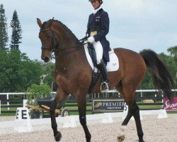 dressage horse Von Primaire (KWPN (Royal Dutch Sporthorse), 2002, from Don Primaire)