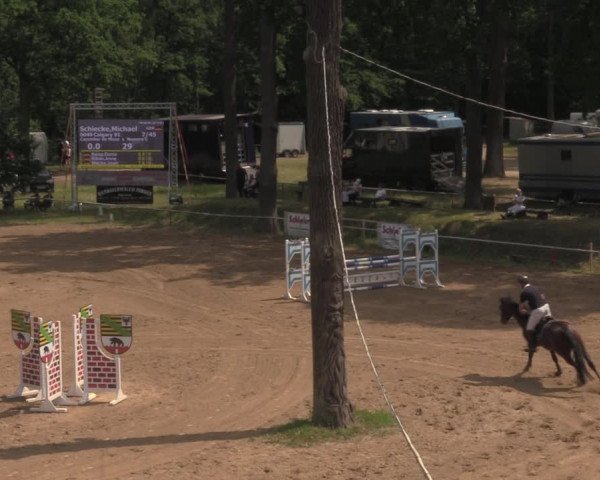 Reitturnier Calvörde 2020