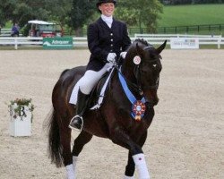 dressage horse Fling (Westphalian, 2000, from Florestan I)