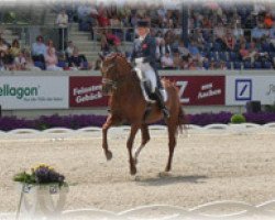 dressage horse Weltzin (Hanoverian, 1999, from Weltbogen)