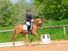 broodmare Daiquiri 95 (German Riding Pony, 2009, from FS Don't Worry)