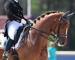 dressage horse Air Miles Pb (KWPN (Royal Dutch Sporthorse), 2005, from Turbo Magic)