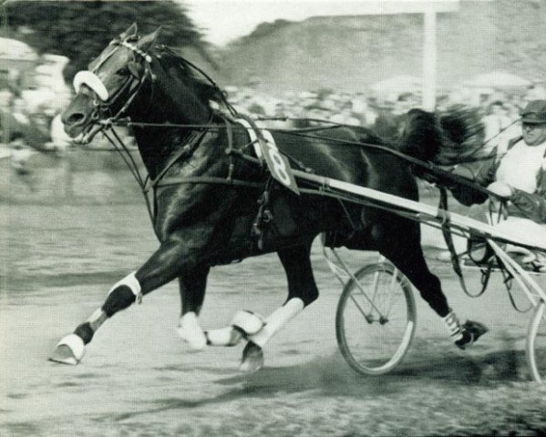 stallion Hairos II (FR) (French Trotter, 1951, from Kairos (FR))