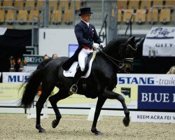 dressage horse Fuerst Ferrari (Hanoverian, 2004, from Fürst Heinrich)