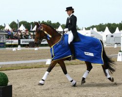 dressage horse Herbie Hancock Graftebjerg (Danish Warmblood, 2002, from Hertug)