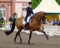 horse Fantast S (Hessian Warmblood, 1990, from Frisbee)