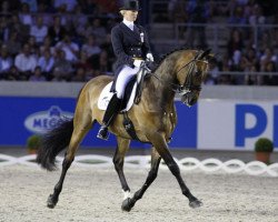 dressage horse Rigoletto 2 (Danish Warmblood, 1996, from Rubinstein I)