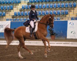 dressage horse Waca W (Hanoverian, 2001, from Weltmeyer)