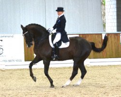 dressage horse Tango V (KWPN (Royal Dutch Sporthorse), 2000, from Jazz)