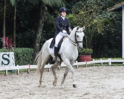 dressage horse Zephiro Da Raposa (Lusitano, 2003, from Inca)