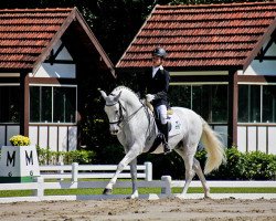 dressage horse Zodiac Dos Diamantes (Brazilian horse, 2003)