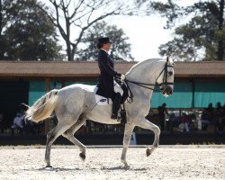 dressage horse Zepelim Interagro (unknown, 2003)