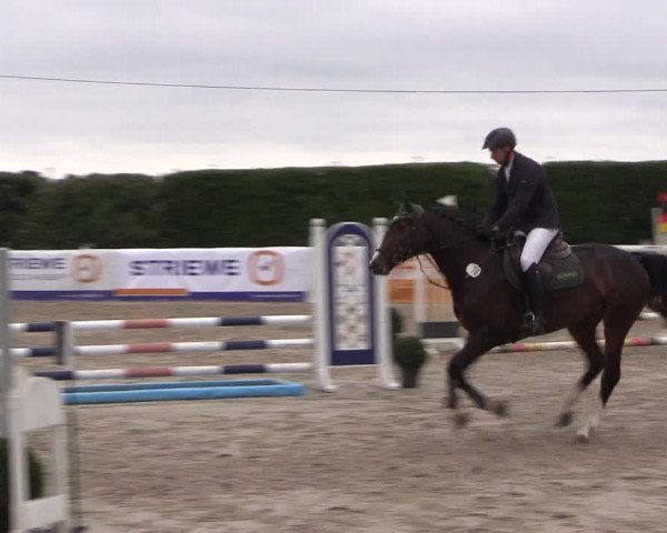 Reitturnier Niedernstöcken 2020