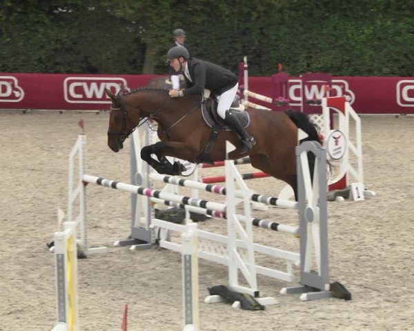 Reitturnier Worms-Pfeddersheim / Reitsportanlage Wittemer 2020