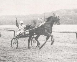 broodmare Barones Spencer (NL) (American Trotter, 1934, from Spencer 68128 (US))