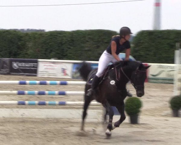 Reitturnier Niedernstöcken 2020