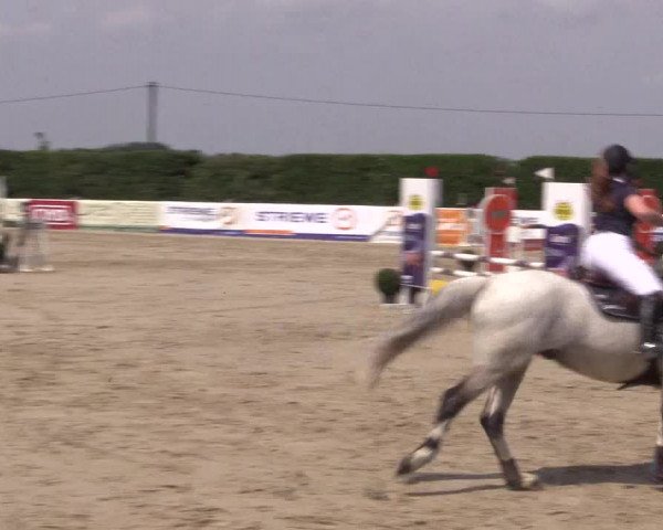 Reitturnier Niedernstöcken 2020
