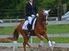 dressage horse Danaris (German Riding Pony, 1998, from Dandy)